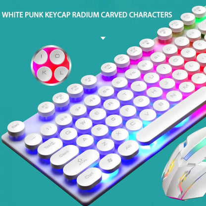 Gaming Keyboard and Mouse Set, Gaming LED Wired Keyboard and Mouse Combo, USB Mouse Rainbow Backlit Mechanical Feeling